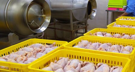 PT.DUNIA AYAM LESTARI